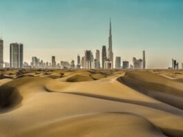 Tax Compliance in the United Arab Emirates