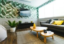 The Art of Investing: Creating a Beautiful Indoor Space that Enhances Well-being and Productivity