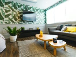 The Art of Investing: Creating a Beautiful Indoor Space that Enhances Well-being and Productivity