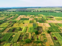 Why Should You Invest In Properties In Delhi?