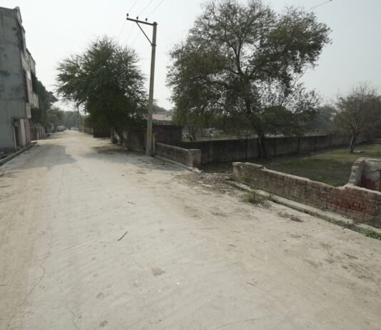 Plots in Delhi's Redevelopment Zones: Potential and Pitfalls